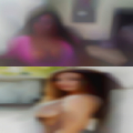 Florida swingers camps