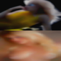 Need for threesome