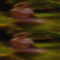 Girls Longview, masturbating