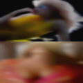 Adult clubs Dallas